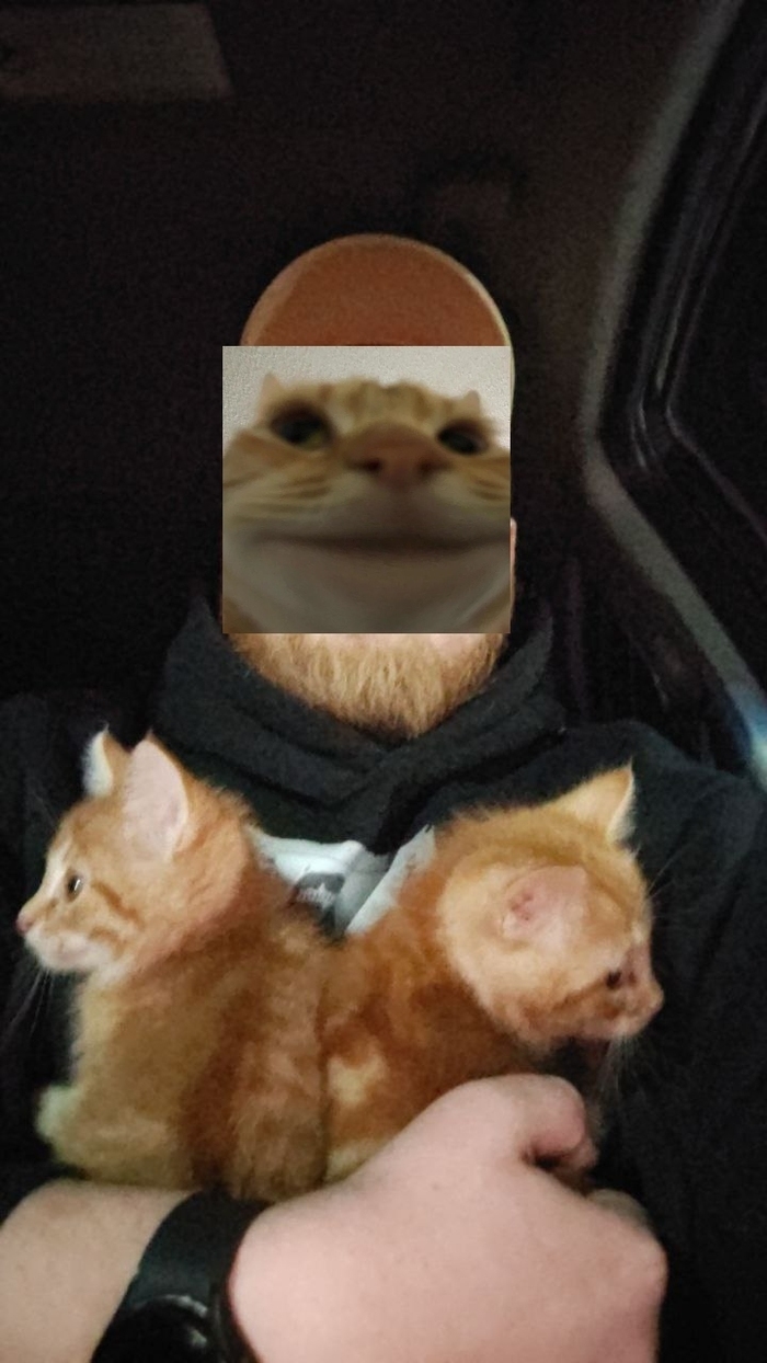        , , , , , , , 