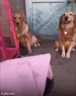   , , , 