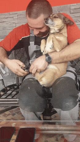   , , , 