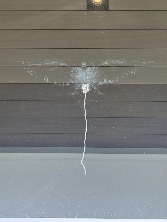 ������ ��������...