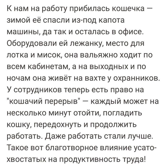   " " , , , , Telegram (), , , 