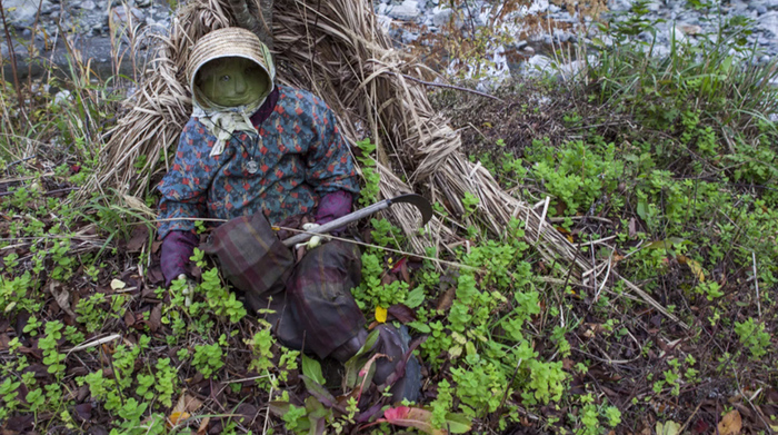 ����� ������� �� �������