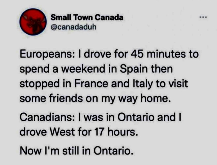    , X (Twitter)