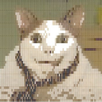   .     0$.     ?  , Frontend, , , , , , 