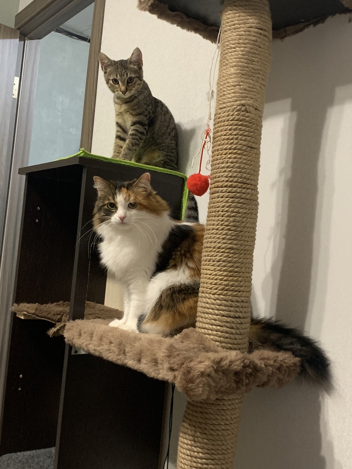        , , , , ,  , ,   , 