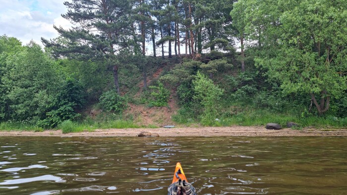 Полянка у сосновой горы.
