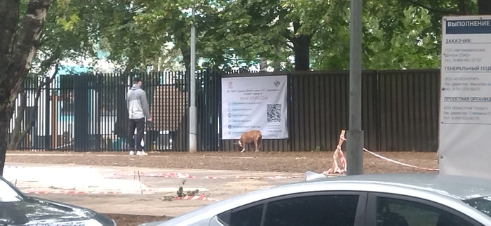 � � ��� �������. ��������� ����� ���� ���-������ 