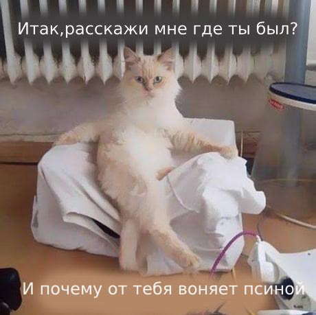 Когда налакался молока в баре