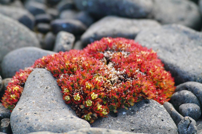 ������-����� ������ ����-�� �������!