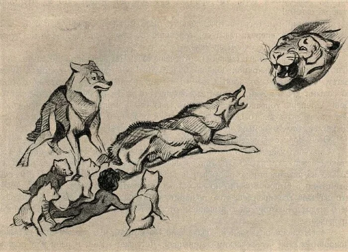 Маугли - выдуманное слово и несуществующая книга Детская литература, Сказка, Редьярд Киплинг, Маугли, Длиннопост