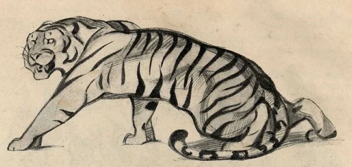 Маугли - выдуманное слово и несуществующая книга Детская литература, Сказка, Редьярд Киплинг, Маугли, Длиннопост