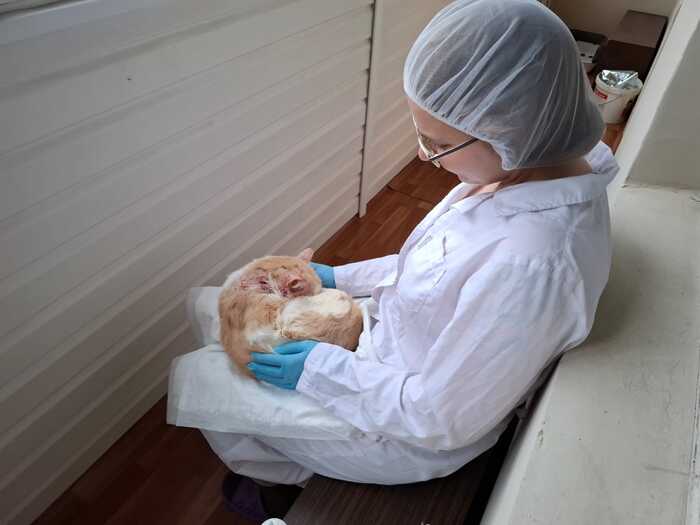      .       ,     &#x1F979;