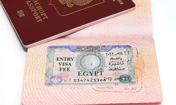     :     , , --, , ,  , Telegram (), 