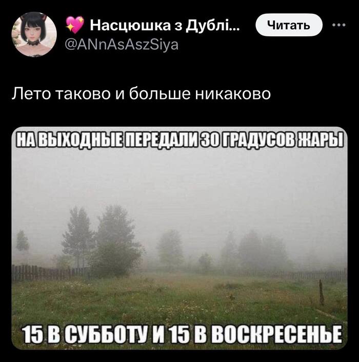    , X (Twitter),   ,  , , 