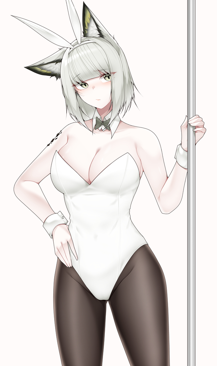  Samip, , , Anime Art, Arknights, Kaltsit, Animal Ears, , Bunnysuit, Bunny Ears, 