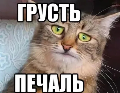   (The Hollow King) (2022) // :  .  