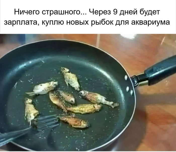  ... ))