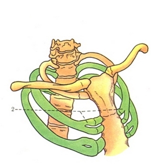   , , , , , , 
