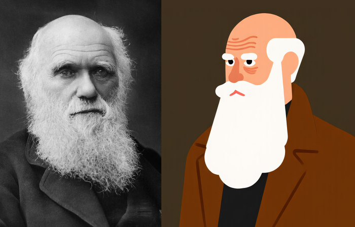 ������ ������