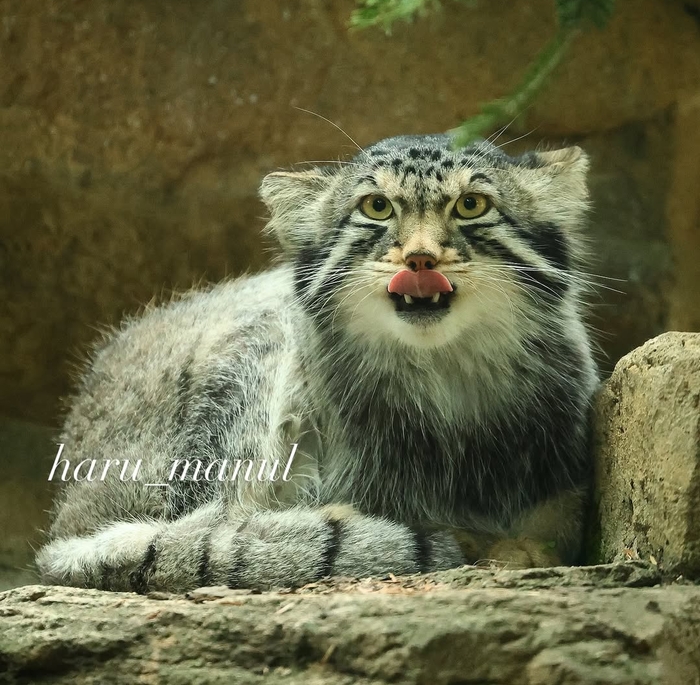 Бабуль, смотри, я как ты!