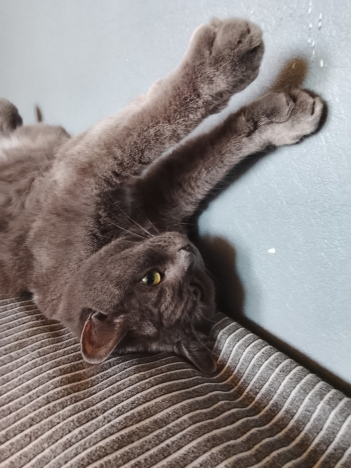   , , , ,  , 