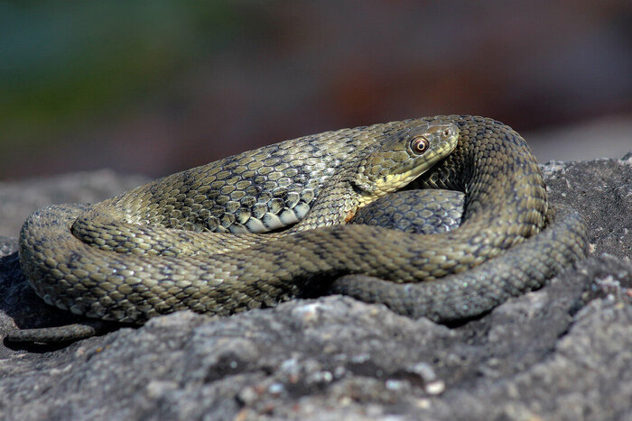   "":   .     , ,  ,  , , , , , 