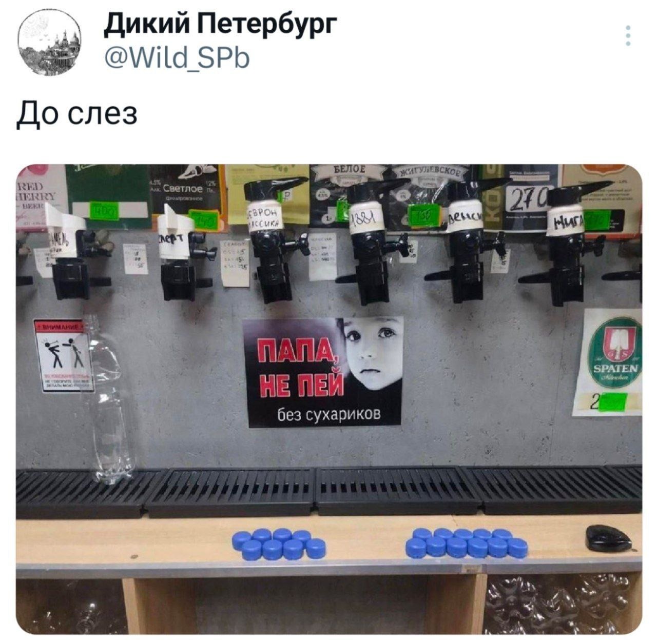cwskxms3_lg.jpg