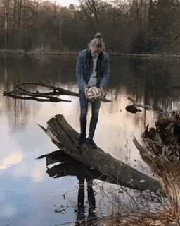     , , , 