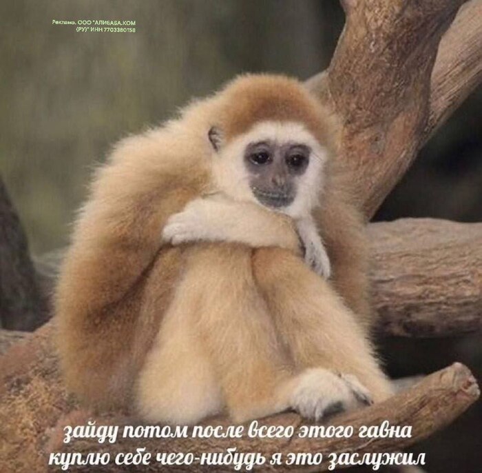     ,  , 