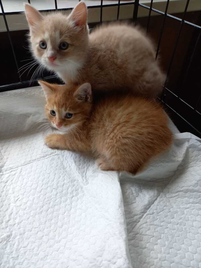 ,  ...   , , ,  , , ,  ,  , 