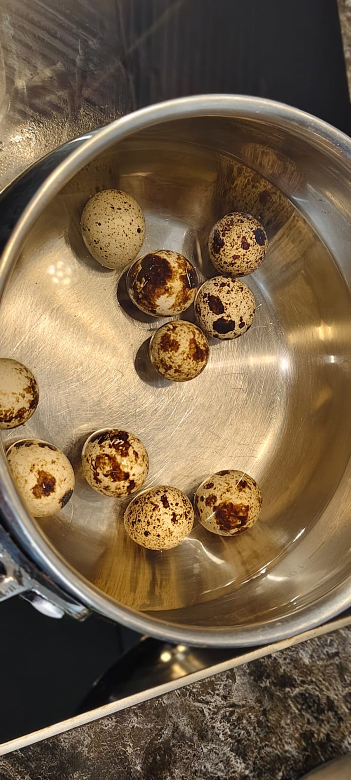 ������ �������� ����