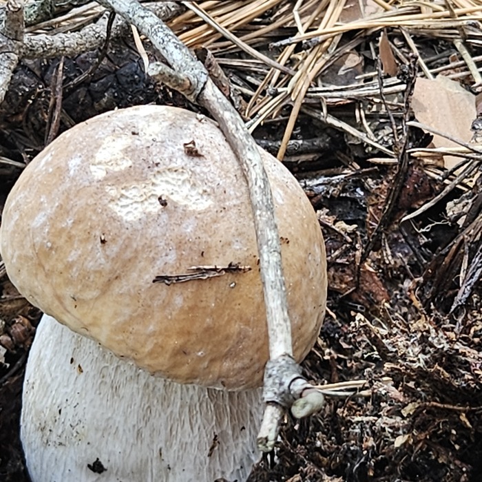 Непередаваемые ощущения