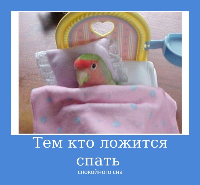   ,  ,  