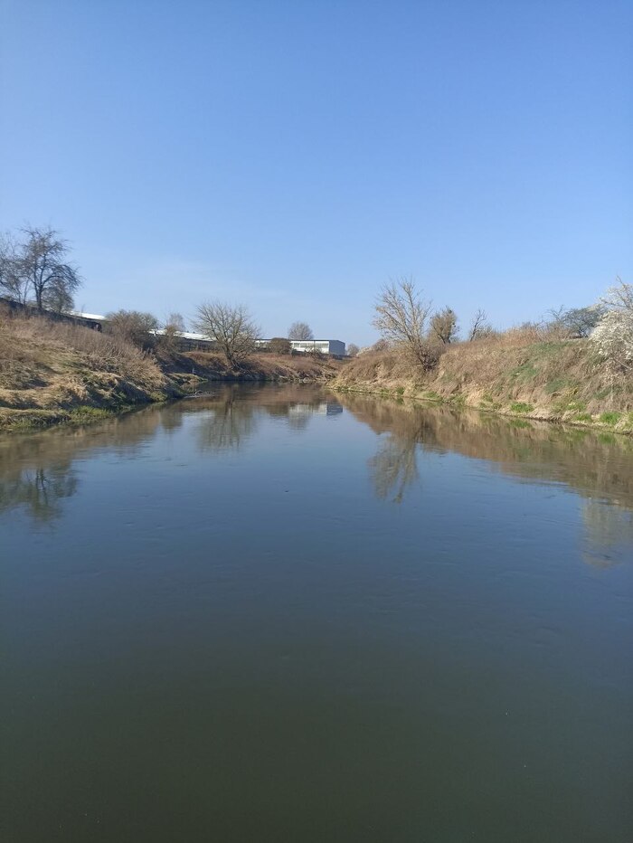 Анграпа