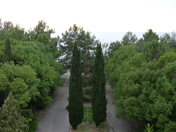       2003 , , , 