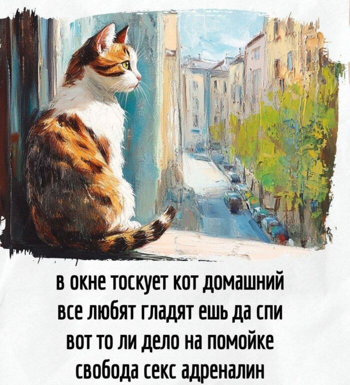   ,   , , -