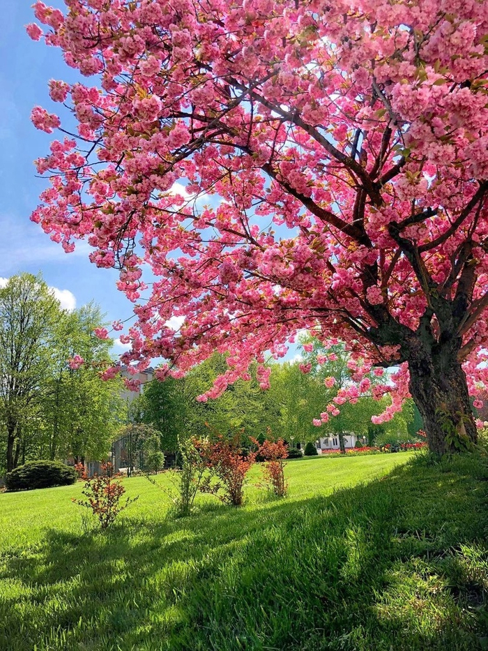 Кисловодский национальный парк (Самый большой в РФ), больше чем ВДНХ по размеру.