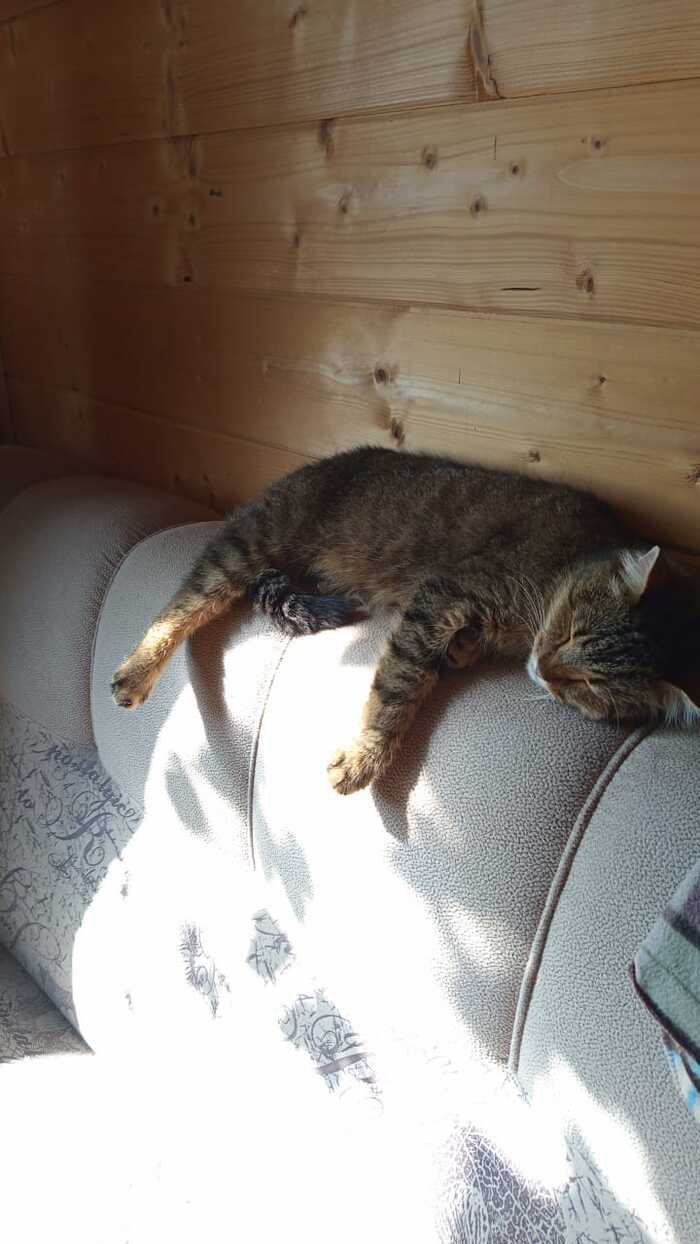   ,    , , , , 