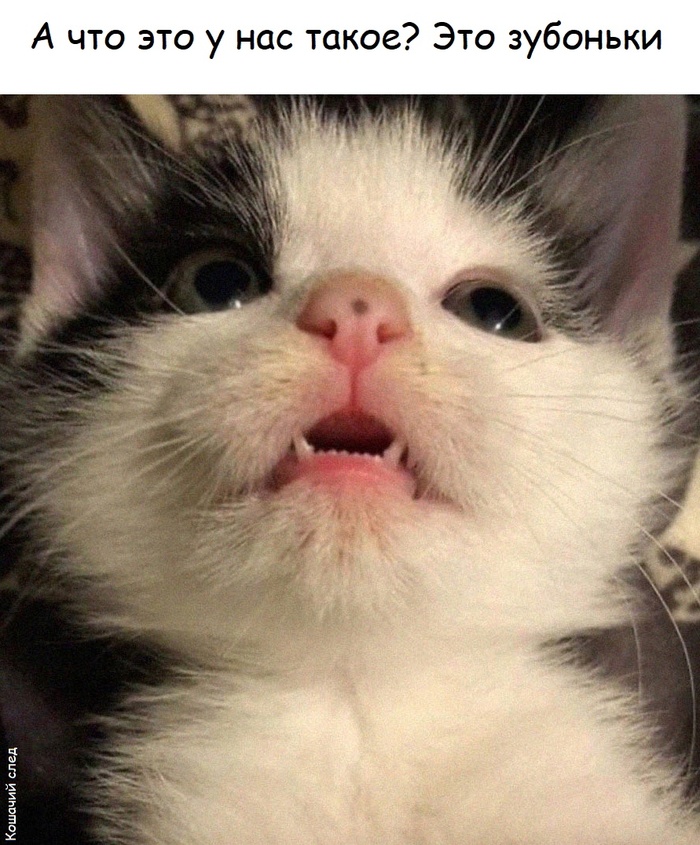  ,  ,  (),   , 