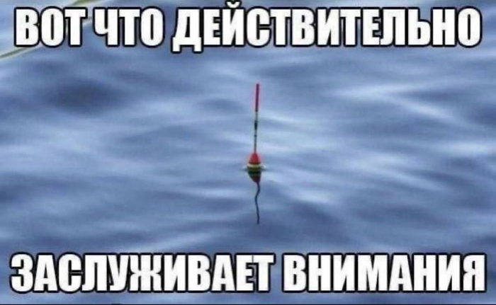  ! , , ,   , Telegram ()