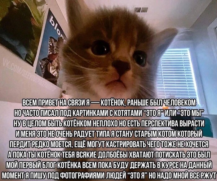 ���