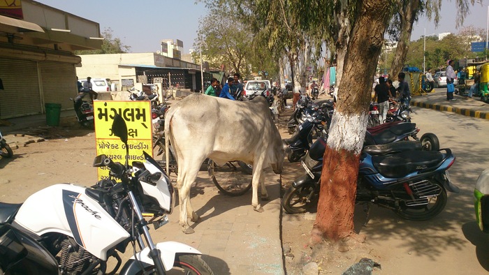 ����� ��� ������ ����. �������� ��� �������.