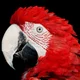   valerenza