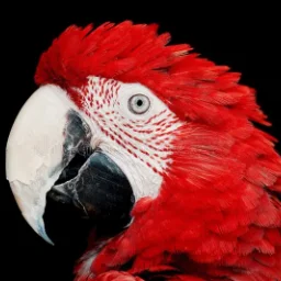 valerenza
