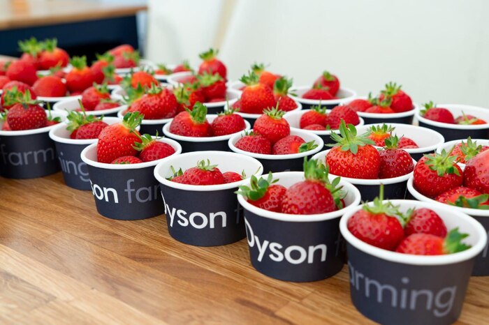 "      ,    " Dyson, ,  (), , 