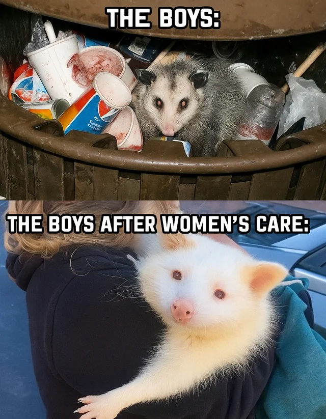     ,  , , ,   , 