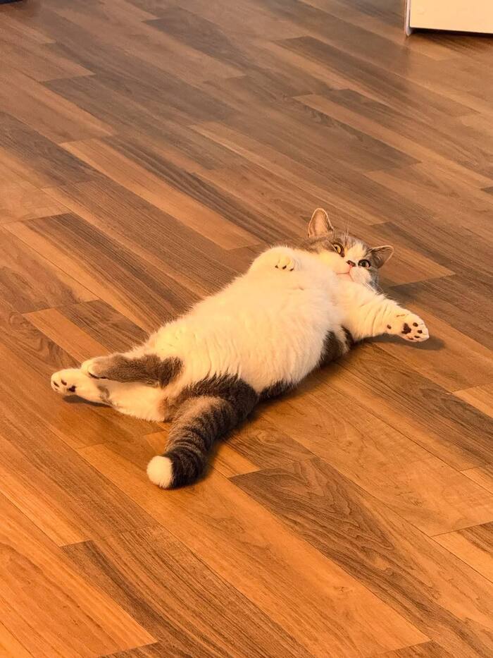  ,  , ,  ,  , 