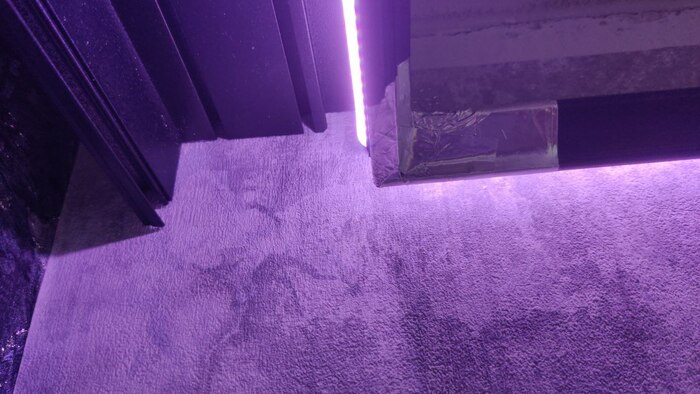 заклейка просветов