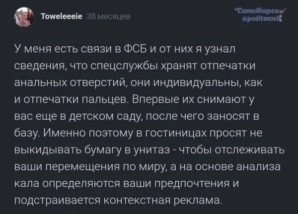 elf2w6gp.webp