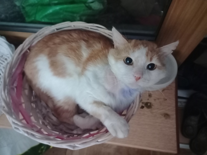       , , , -, ,  , 